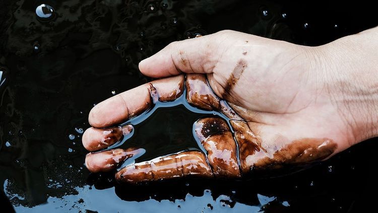 Azerbaijan obtained about $ 7,2 bln. income from oil export this year