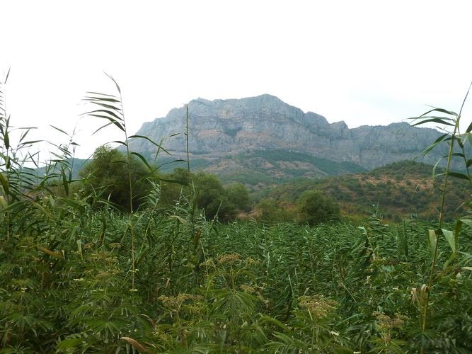 Liberation of Zangilan will increase Azerbaijan’s production and export of mineral resources