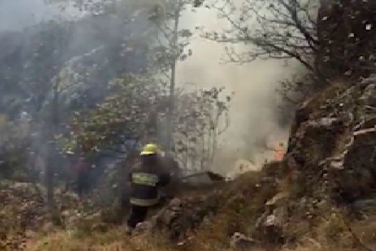Azerbaijani MES: Fire breaks out in the forest area far away from the combat zone due to the shell strikes by Armenia - VIDEO
