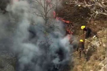 Azerbaijani MES: Fire breaks out in the forest area far away from the combat zone due to the shell strikes by Armenia - VIDEO