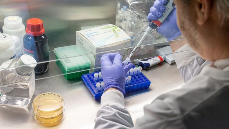 Japanese citizens to get free COVID-19 vaccination