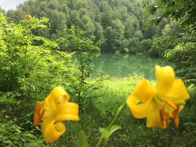 MENR: Armenia commits ecological terrorism against Azerbaijan nature