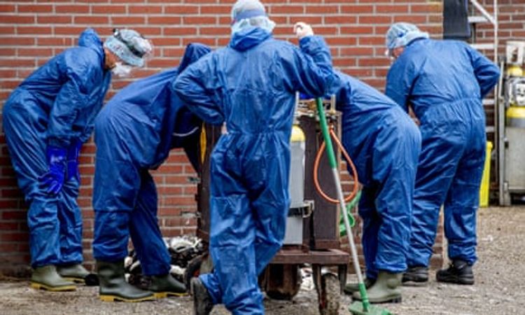 Germany "can and will" avoid second coronavirus lockdown