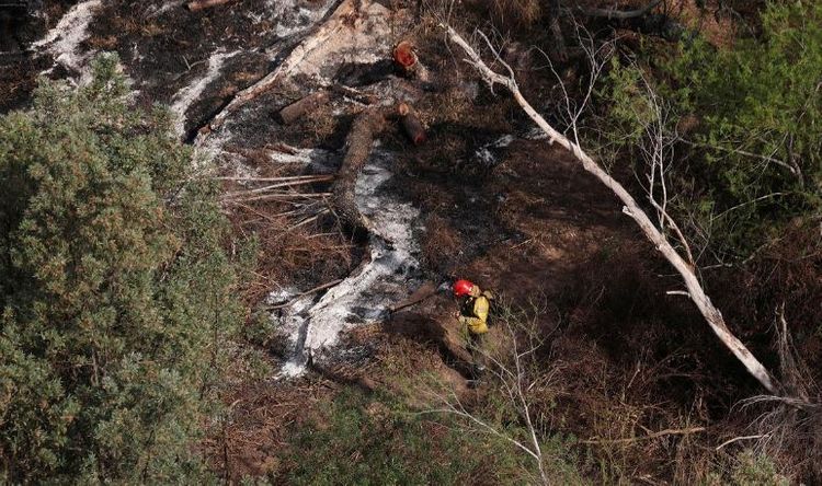 Argentina's wetlands under assault by worst fires in more than a decade