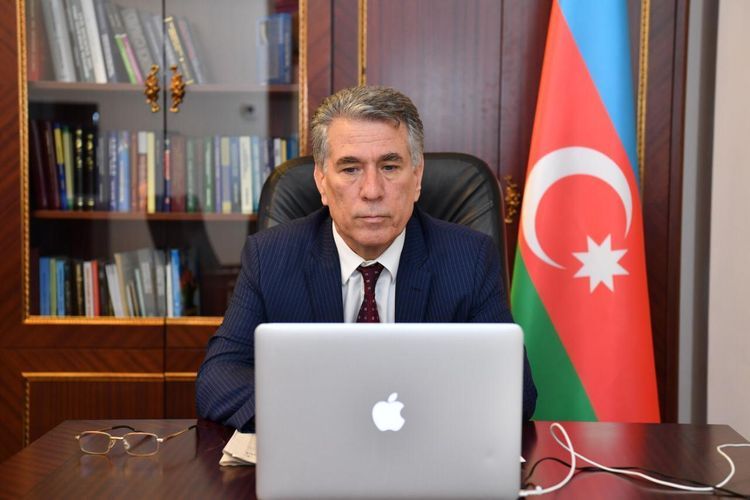  NATO PA’s Defence and Security Committee holds online meeting