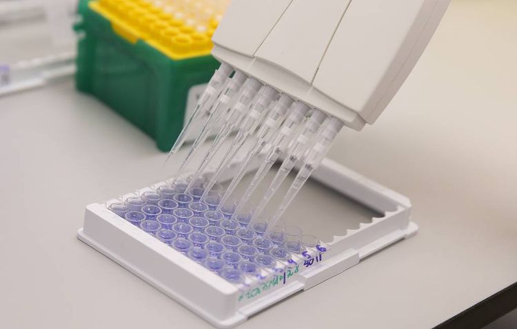 Russian PM Mishustin: "Russia will help Belarus with COVID-19 vaccine"