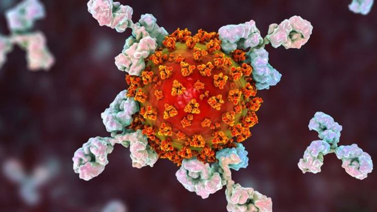 Antibody treatment to be given to Covid patients in UK