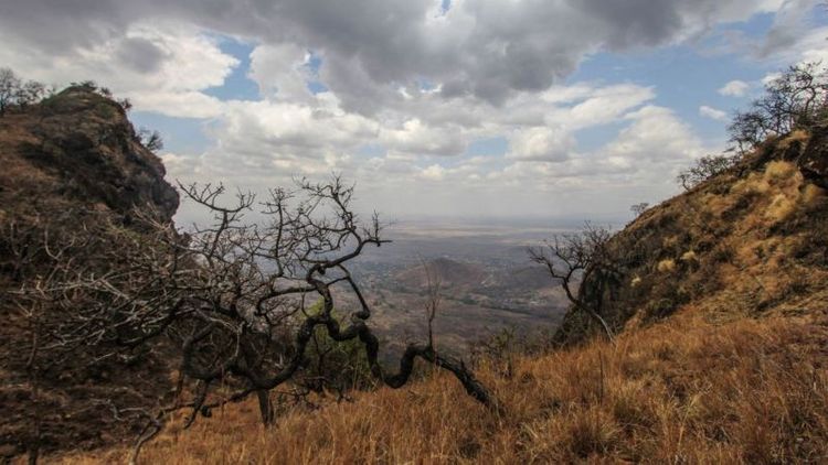 More than 200 prisoners escape in Uganda