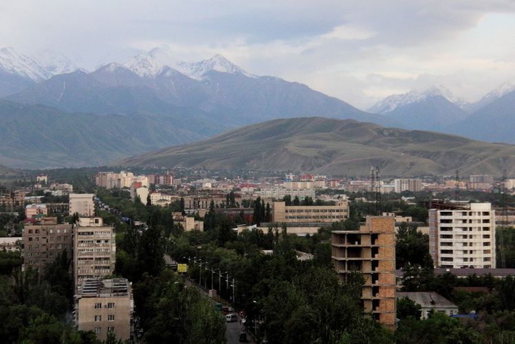 Kyrgyzstan reports 81 new coronavirus cases, 45 153 in total