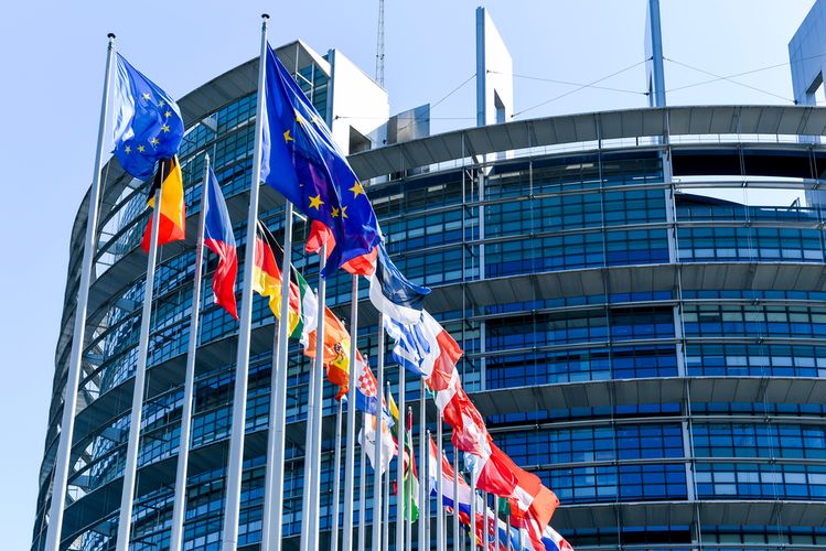 European Parliament adopts resolution calling for tougher sanctions on Russia over Navalny's case