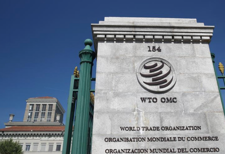 Egypt, Mexico and Moldova out of the running to lead the WTO