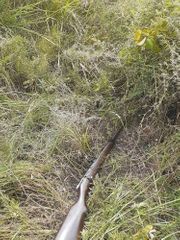 Armed incident occurred on Azerbaijani-Iranian border, one died - PHOTO