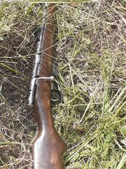 Armed incident occurred on Azerbaijani-Iranian border, one died - PHOTO