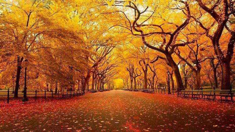 Astronomical autumn starts next week in Azerbaijan
