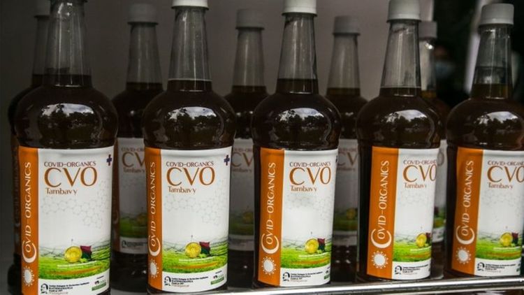 WHO sets rules for testing African Covid remedies