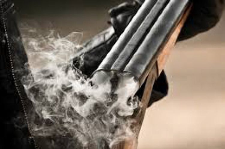 Person who opened fire into air detained in Baku
