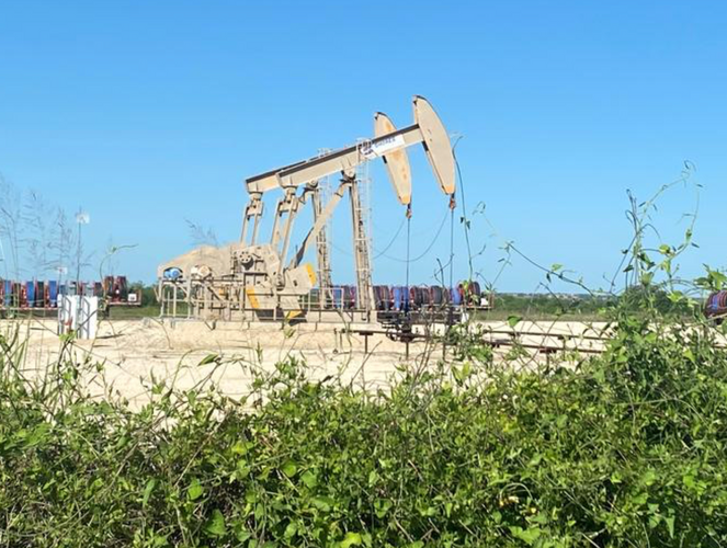 Oil falls on fuel demand growth concerns as coronavirus lingers