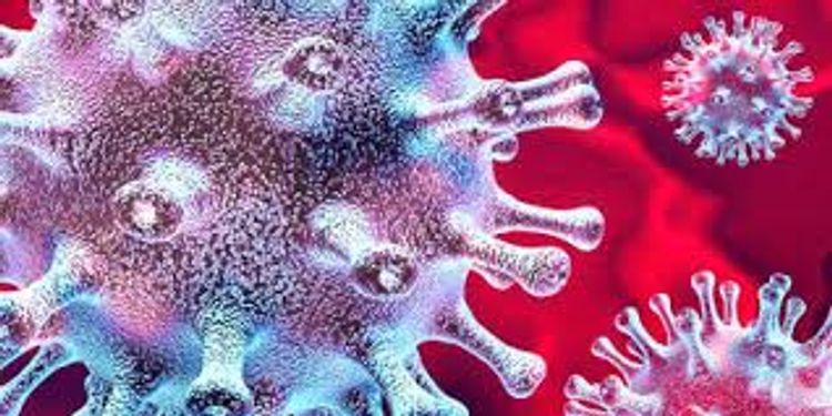 Iran's coronavirus death toll rises above 25,000