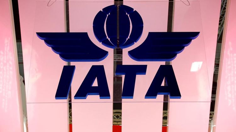 Global airline body IATA cancels annual meeting over travel curbs