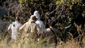 Human remains found in clandestine graves in central Mexico