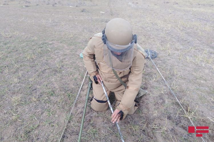 Malaysian Ambassador: "Cleaning from mines is an issue related to human rights" 