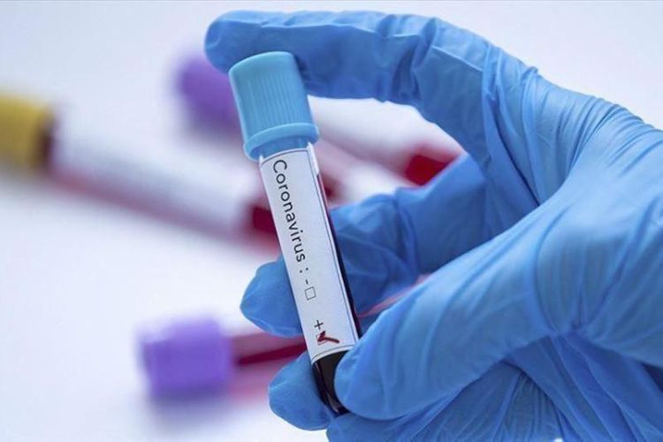 Kazakhstan reports 2,440 new COVID-19 cases 