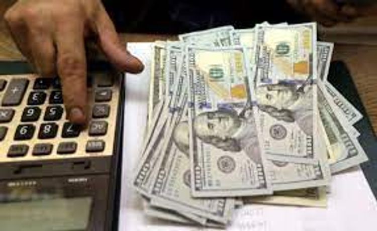 Dollar steadies after week of falls