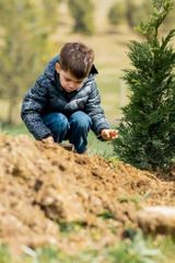 Ukrainian Embassy joins "Greening of the Planet" international ecological project  - PHOTO