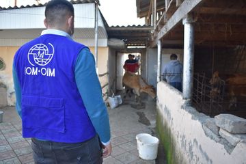 IOM Azerbaijan provided reintegration assistance to 122 returnees in the first quarter of 2021