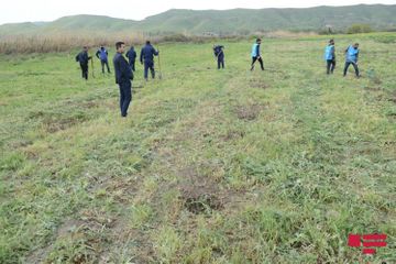 750 trees planted in Gubadli within framework of “Green Marathon”