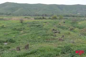 750 trees planted in Gubadli within framework of “Green Marathon”