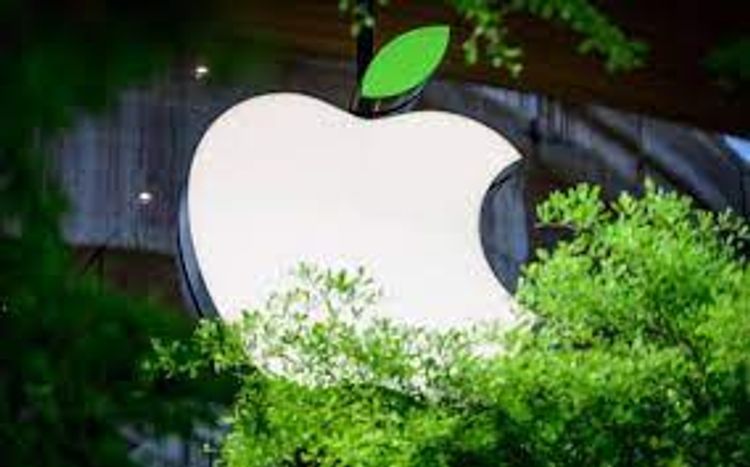 Apple announces 200 mln USD fund in forestry projects to reduce carbon from atmosphere