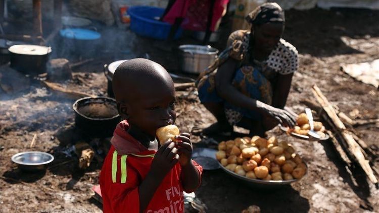 Over 100M people in Africa face food insecurity