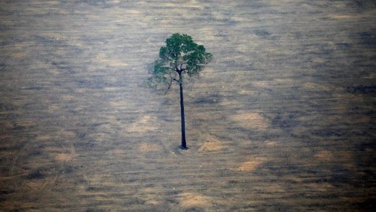 Brazil 'needs $10bn to reach zero emissions' says minister