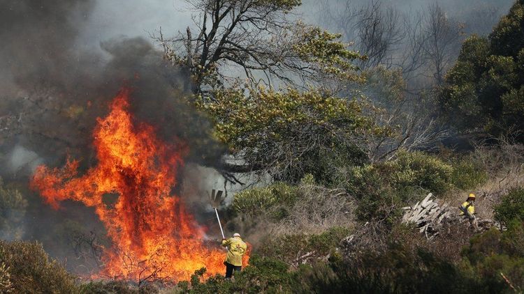 Table Mountain fire 'burns out of control' in Cape Town