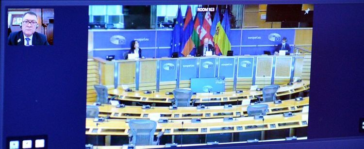 Issue of provision of vaccine discussed at meeting of Euronest PA