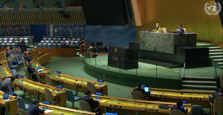 UNGA president reaffirms strong support for boosting biodiversity