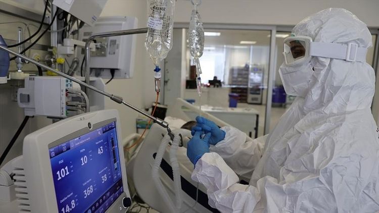 Turkey reports over 54,790 daily coronavirus cases 