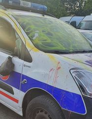 Unknown vandals thrash 14 police cars in Paris suburb - PHOTO