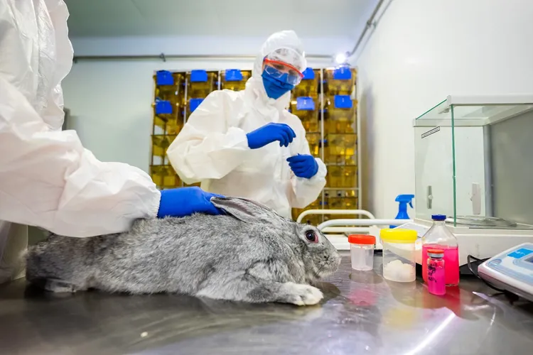 Russia released 1st batch of Carnivac-Cov COVID-19 vaccine for animals