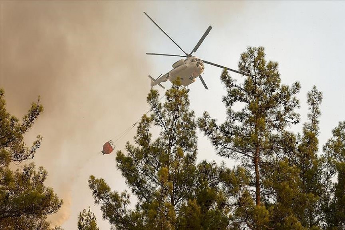 Forest fires in Turkey