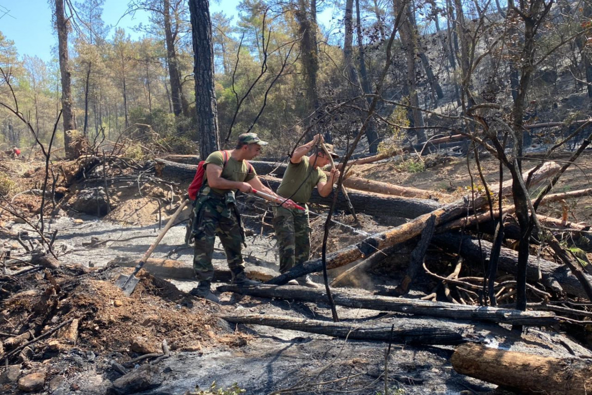Azerbaijan MES’s firefighters in Turkey managed to prevent the spread of fires in some directions -VIDEO 