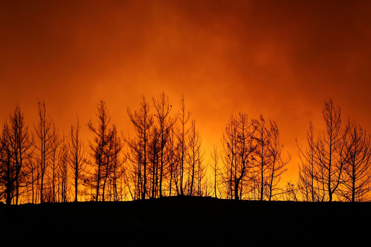 Death toll in Turkey wildfires rises to eight, coastal resorts affected
