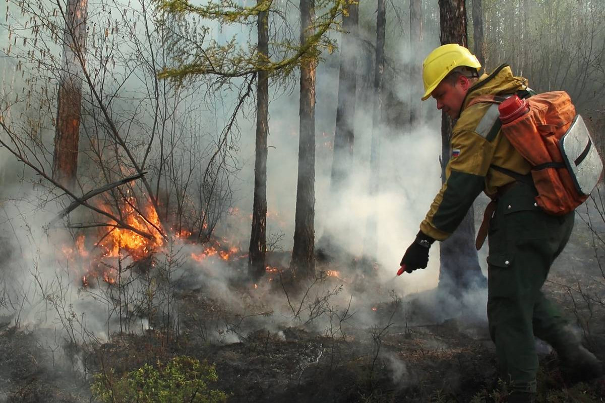 Yakutia wildfires