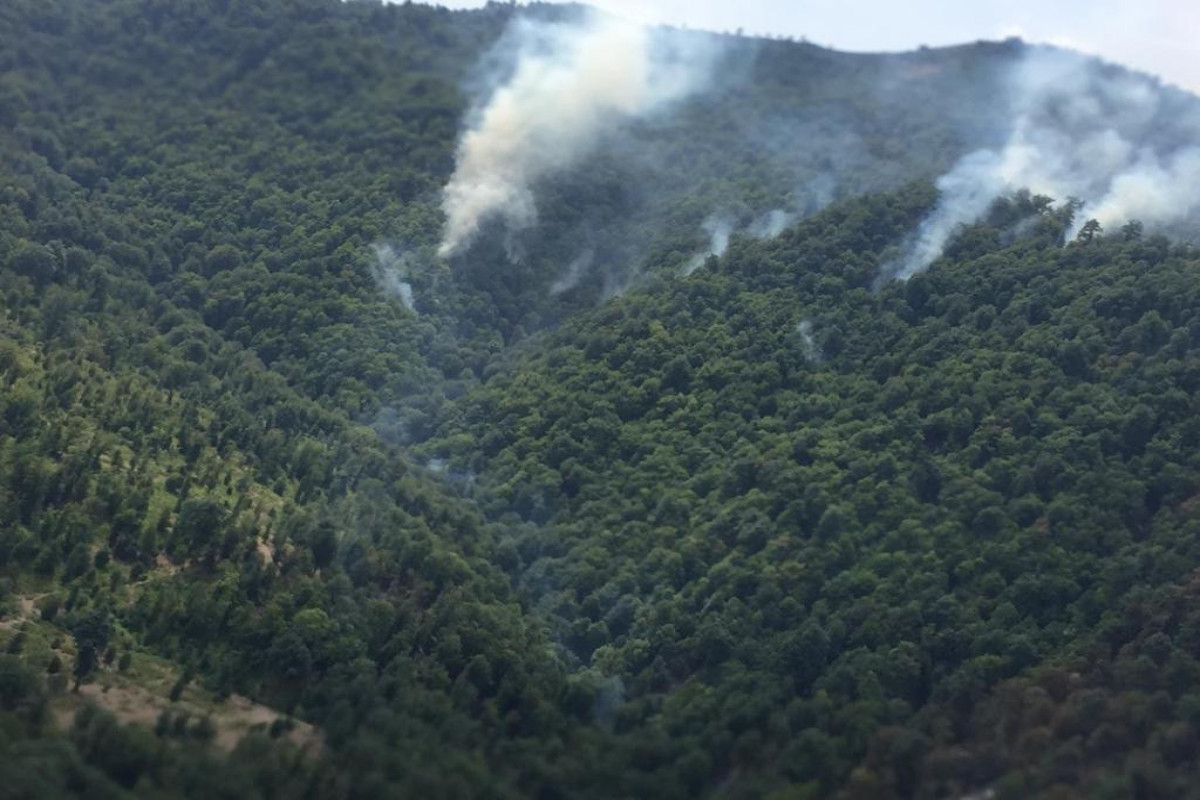 Fire occured in forest strip in Yardimli