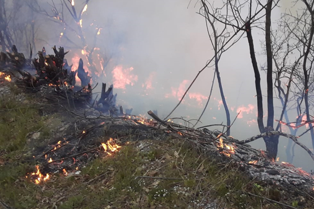 Fire in Azerbaijan's Lankaran