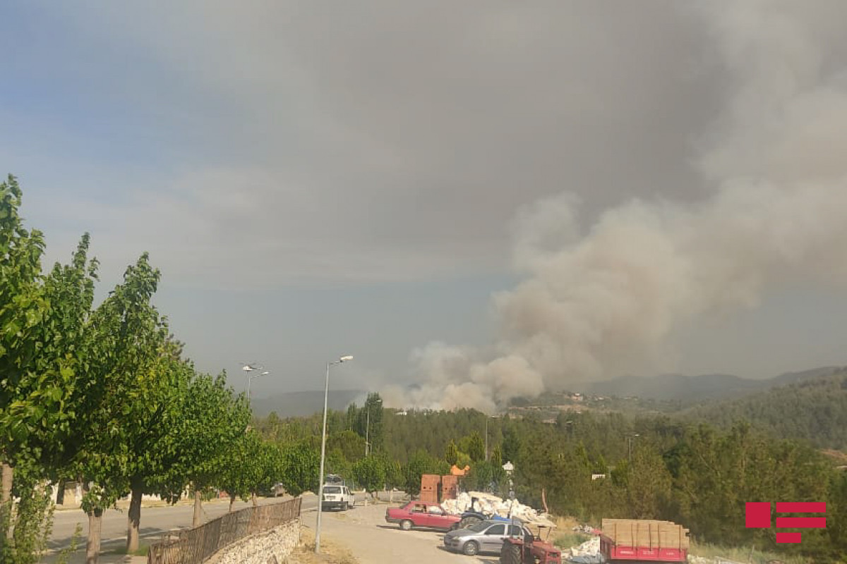 Fire broke out in Mughla