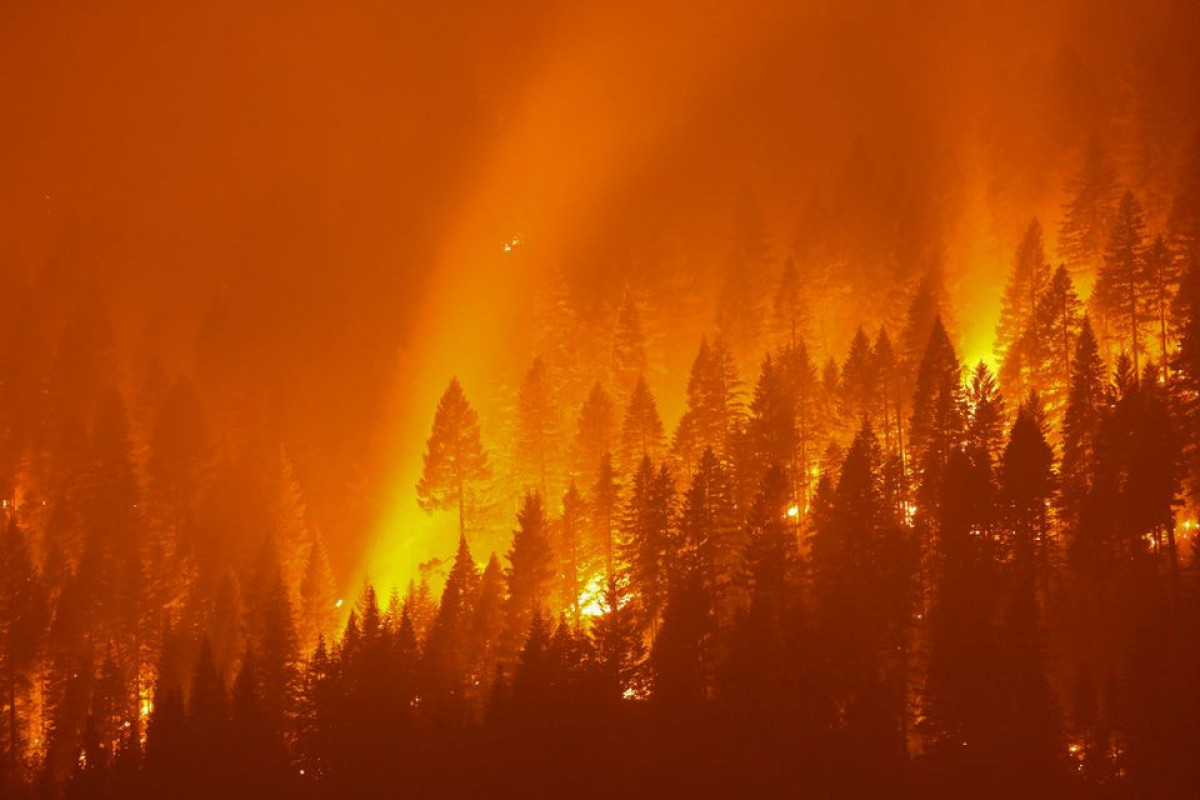 U.N. climate report likely to deliver stark warnings on global warming