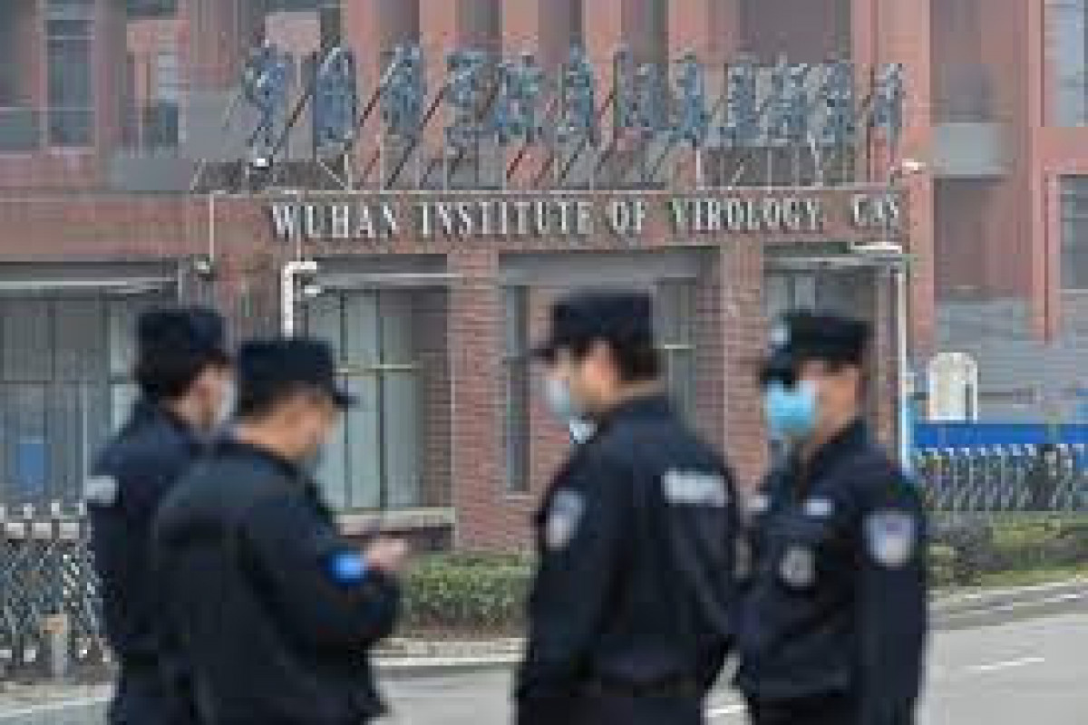Wuhan lab leak theory not confirmed by House Foreign Affairs Committee