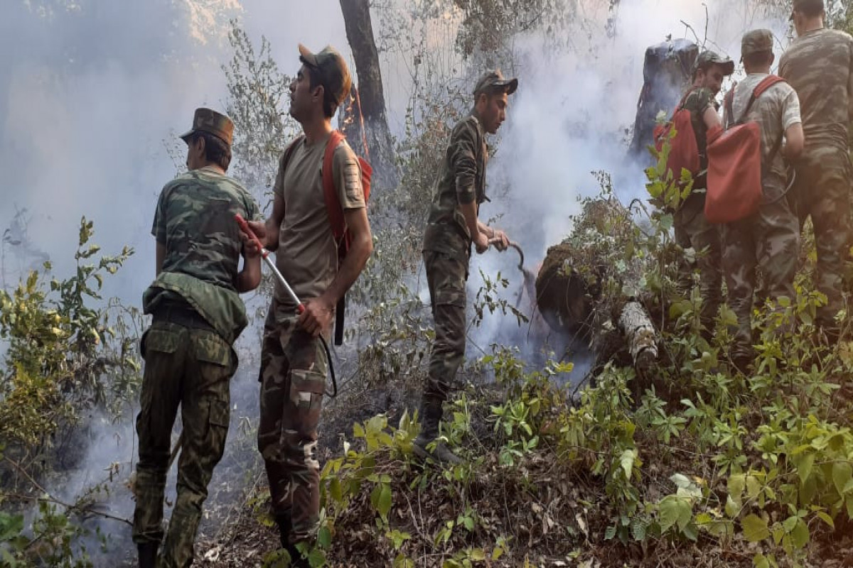 Fire in forest strip in Azerbaijan’s Yardimli